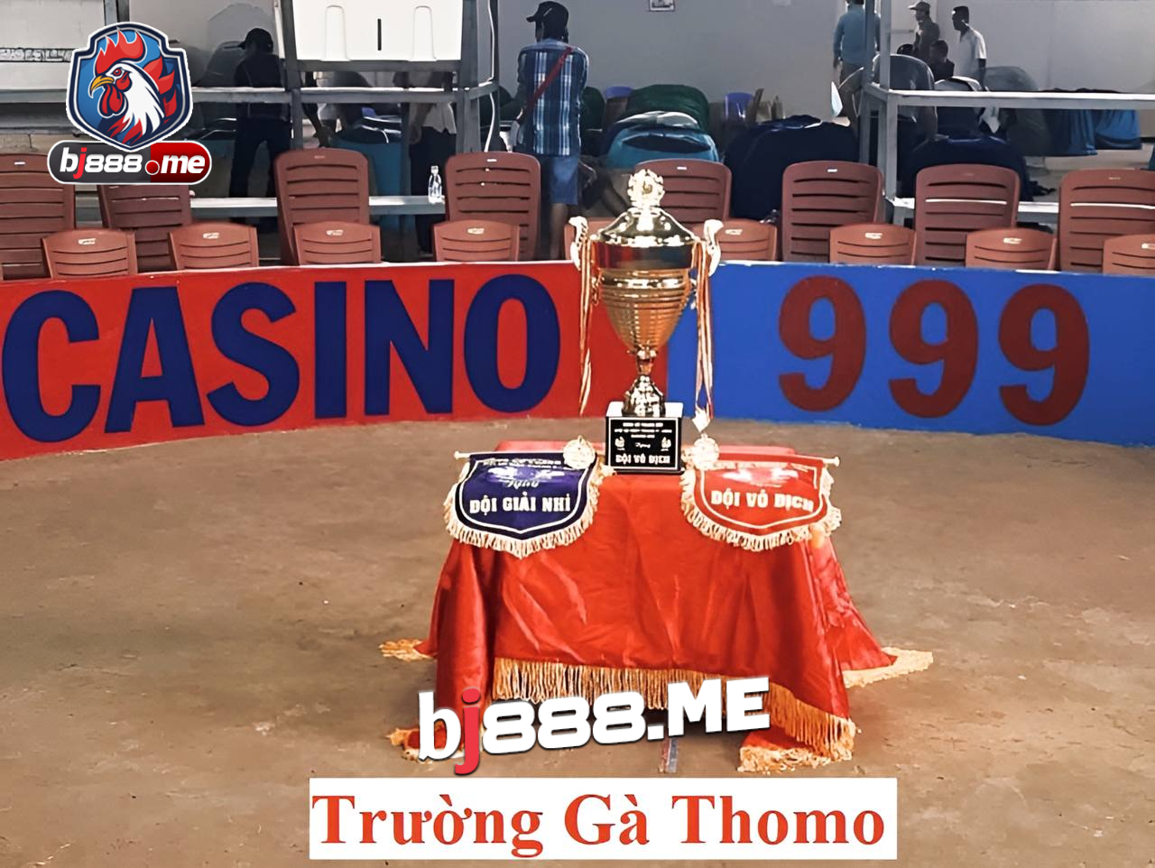 ĐÁ GÀ THOMO Ở ĐÂU ? 1 Untitled Project 2024 02 02T165401.899 1