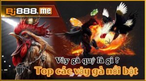vảy gà quý