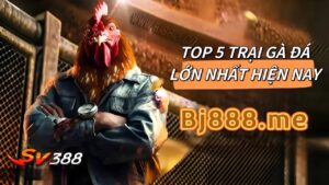 TOP 5 TRẠI GÀ THOMO LỚN NHẤT HIỆN NAY