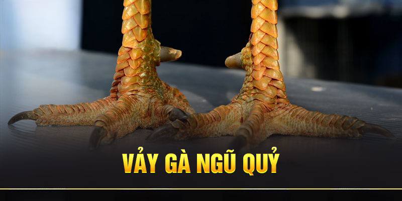 vảy gà 