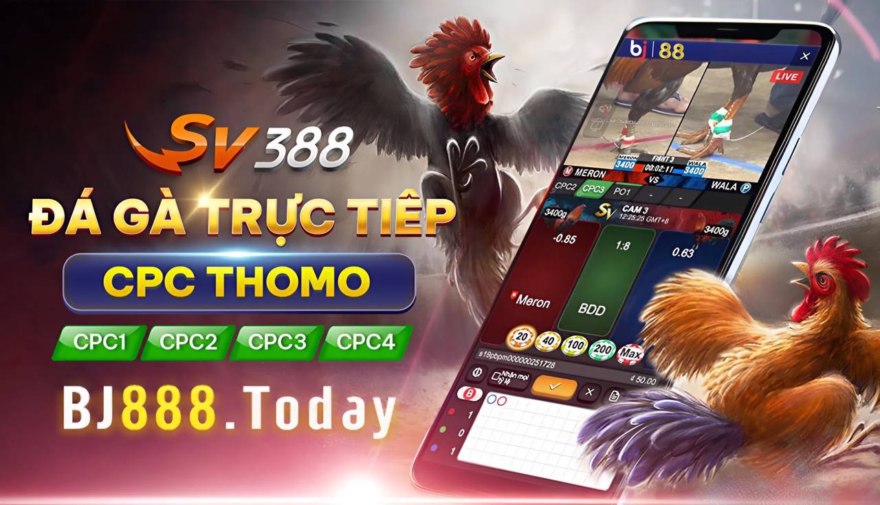  sảnh gà tại bj88