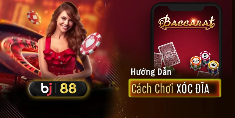 Cách Chơi Xóc Đĩa Từ A-Z: Hướng Dẫn Chi Tiết Cho Người Mới 1 Mẹo chơi xóc đĩa từ nhà phát hành